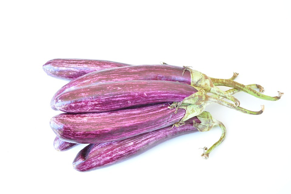 Eggplant